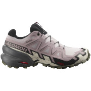 Damskie buty do biegania Salomon Speedcross 6 Gore-Tex