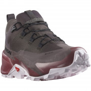 Damskie buty trekkingowe Salomon Cross Hike 2 Gore-Tex brązowy Shale / Wild Ginger / Cradle Pink