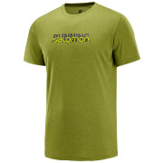 Koszulka męska Salomon Agile Graphic Tee M zielony AvocadoHeat