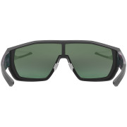 Okulary Uvex MTN STYLE P