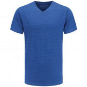 Koszulka męska Alpine Pro Adarn niebieski blue
