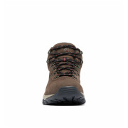 Męskie buty trekkingowe Columbia Newton Ridge™ Plus Ii Suede Wp