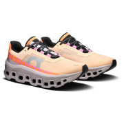 Damskie buty do biegania On Running Cloudmonster