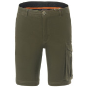 Spodenki męskie Regatta Bendrick Shorts zielony Dark Khaki