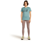 Koszulka damska Icebreaker Women Merino 150 Tech Lite SS Tee Terrain