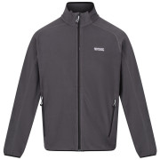 Męska bluza Regatta Hadfield szary Seal Grey