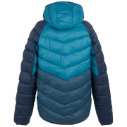 Kurtka męska Regatta Hooded Dalent
