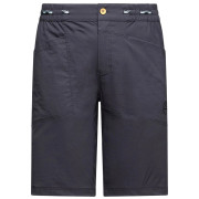 Spodenki męskie La Sportiva Talus Shorts M szary Onyx/Chalk