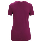 Damska koszulka Icebreaker Women Tech Lite II SS Tee Mountain Geology
