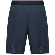 Spodenki męskie Salewa Pedroc 4 Dst Cargo Short M