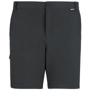 Spodenki męskie Regatta Anti-Insect Travel Light Shorts szary Ash