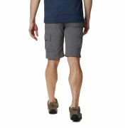 Męskie szorty Columbia Silver Ridge™ II Cargo Short