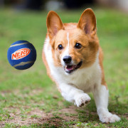 Zabawka dla psa Nerf Dog Squeak Tennis Ball 3 pcs