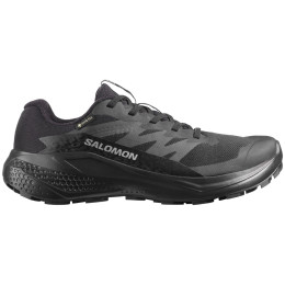 Buty damskie Salomon Alphaglide Gore-Tex