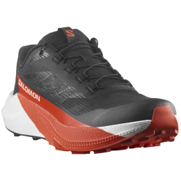 Męskie buty trekkingowe Salomon Pulsar czarny Black / White / Cherry Tomato