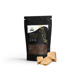 Robaki jadalne Grig Parmezan