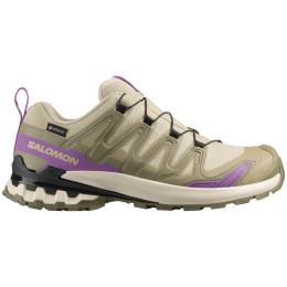 Damskie buty turystyczne Salomon Xa Pro 3D V9 Gore-Tex