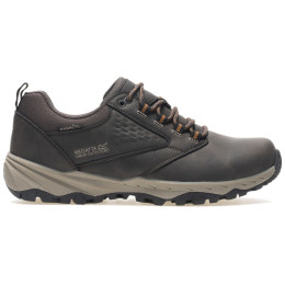 Buty męskie Regatta Amble Low WP brązowy Peat/Tan