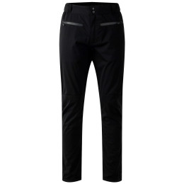 Spodnie męskie Dare 2b Roving Trouser czarny Black