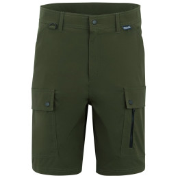 Spodenki męskie Regatta Arlery Shorts ciemnozielony Dark Khaki