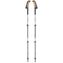 Kije trekkingowe dla kobiet Black Diamond W's Trail Ergo Cork jasnoniebieski AlpineLake