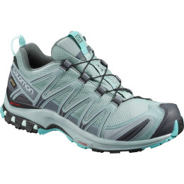 Buty damskie Salomon Xa Pro 3D Gtx® W zarys Leader