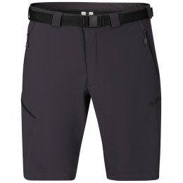 Spodenki męskie Direct Alpine Cruise Shorts 3.0 czarny/szary anthracite