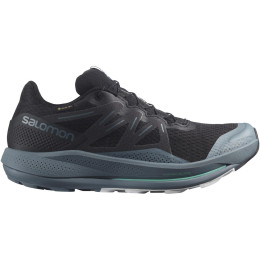 Buty do biegania dla mężczyzn Salomon Pulsar Trail Gtx czarny/niebieski black