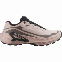 Damskie buty do biegania Salomon Genesis 2 Gtx W