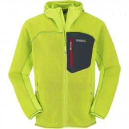 Męska bluza Regatta Cartersville