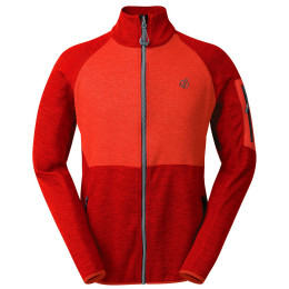 Męska bluza Dare 2b Mens Torrek Fleece