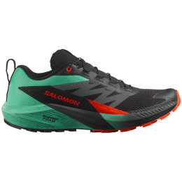 Buty do biegania dla mężczyzn Salomon Sense Ride 5 szary/zielony Black / Bay / Cherry Tomato