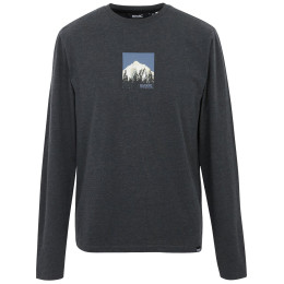 Koszulka męska Regatta Maylow czarny black