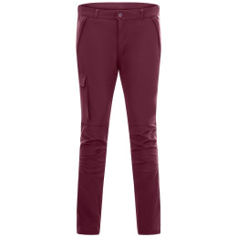 Spodnie dziecięce Regatta Tech Mountain Trousers Fig fioletowy Fig
