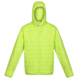 Kurtka zimowa męska Regatta Hooded Hillpack zielony Bright Kiwi