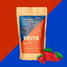 Drink proteinowy Sens Shake blend - truskawkowy 455 g