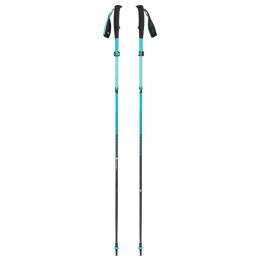 Kije trekkingowe dla kobiet Black Diamond W Distance Carbon FLZ Poles szary Dark Patina