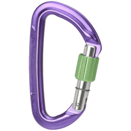 Karabinek Wild Country Session Screw Gate fioletowy purple/green