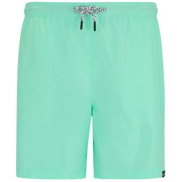 Spodenki męskie Regatta Mackleyna Swim Short