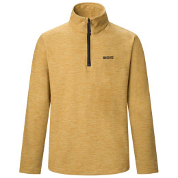 Bluza męska Regatta Thompson Marl