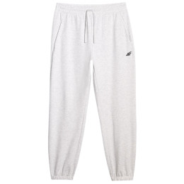 Spodnie męskie 4F Trousers Cas M1139