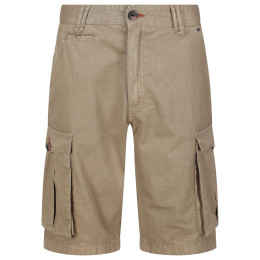 Męskie szorty Regatta Shorebay Short