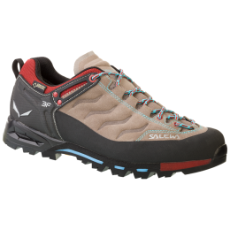Buty damskie Salewa MTN Trainer GTX (2017) brązowy