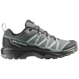 Damskie buty trekkingowe Salomon Exraise Gtx W zielony/szary Urban Chic / Black / Lichen