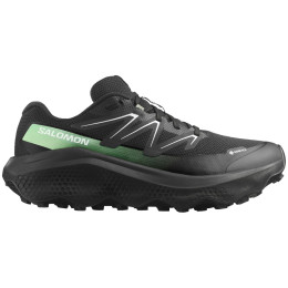 Buty męskie Salomon Ultra Flow 2 Gore-Tex