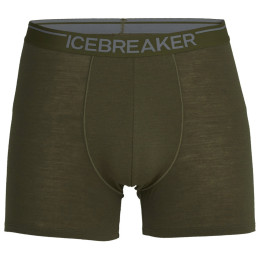 Męskie bokserki Icebreaker Mens Anatomica Boxers