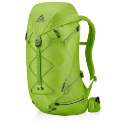 Plecak Gregory Alpinisto 38 LT zielony LichenGreen