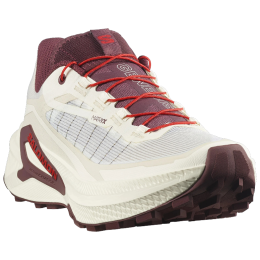 Damskie buty do biegania Salomon Genesis 2 W