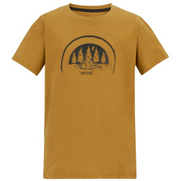 T-shirt dziecięcy Regatta Bosley Wood Brown brązowy Wood Brown