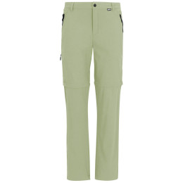 Spodnie męskie Regatta Anti-Insect Travel Light Z/O Trousers jasnozielony Light Sage